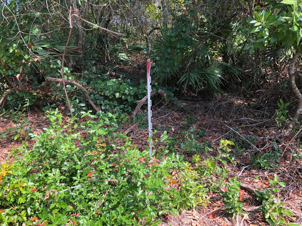 stake marks left side property line