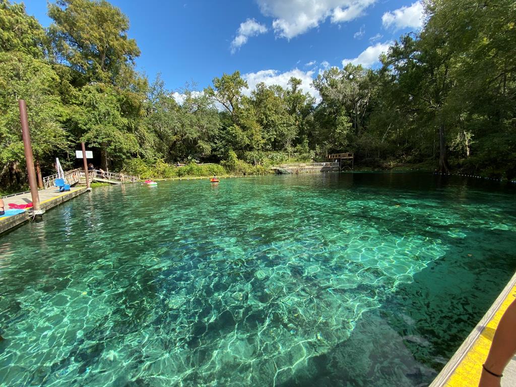 Fanning Springs State Park 