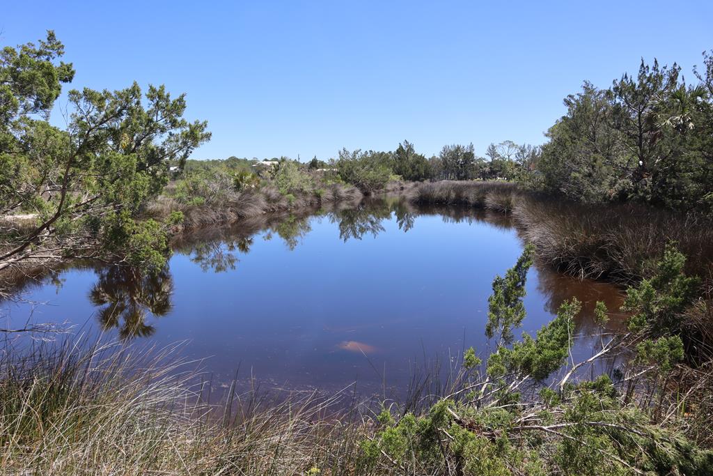 Saltwater canal on property for fishing