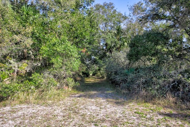 West end of Trail on Lot 28