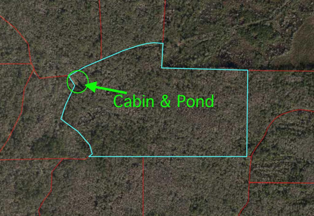 Approximate location of Cabin on Property