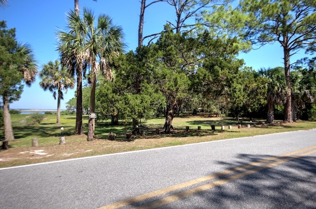 Street View of Yard with Gulf in Background