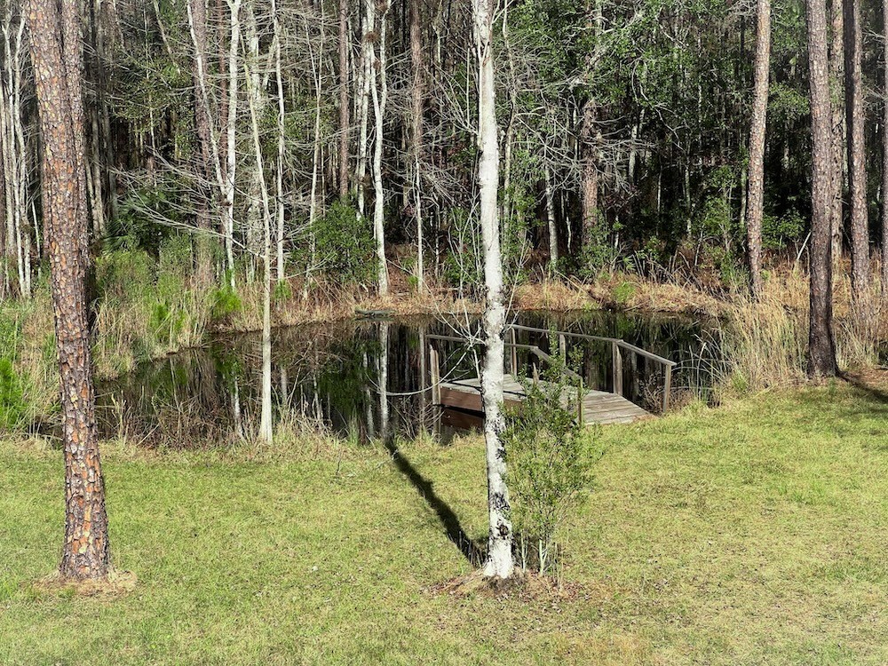Pond View from Open Porch